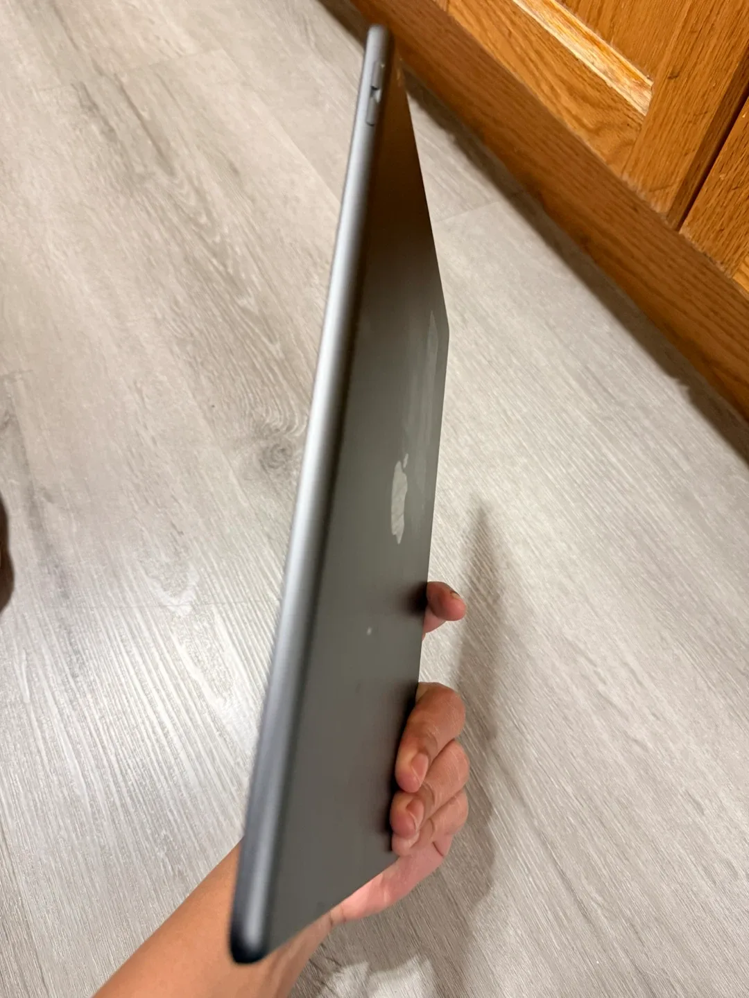 Apple iPad image indicator(5)