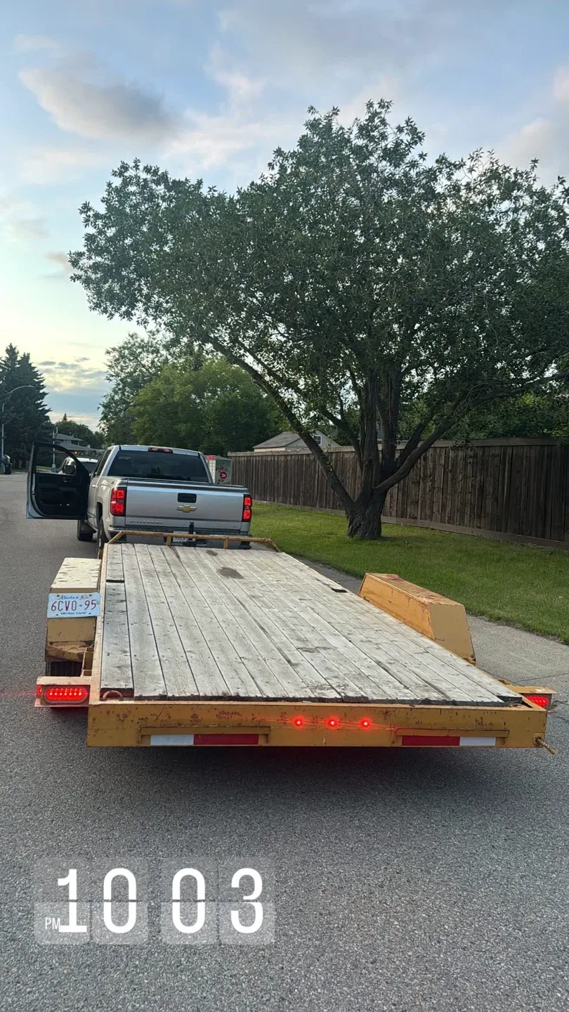 Car Hauler Utility Trailer For rent image indicator(2)