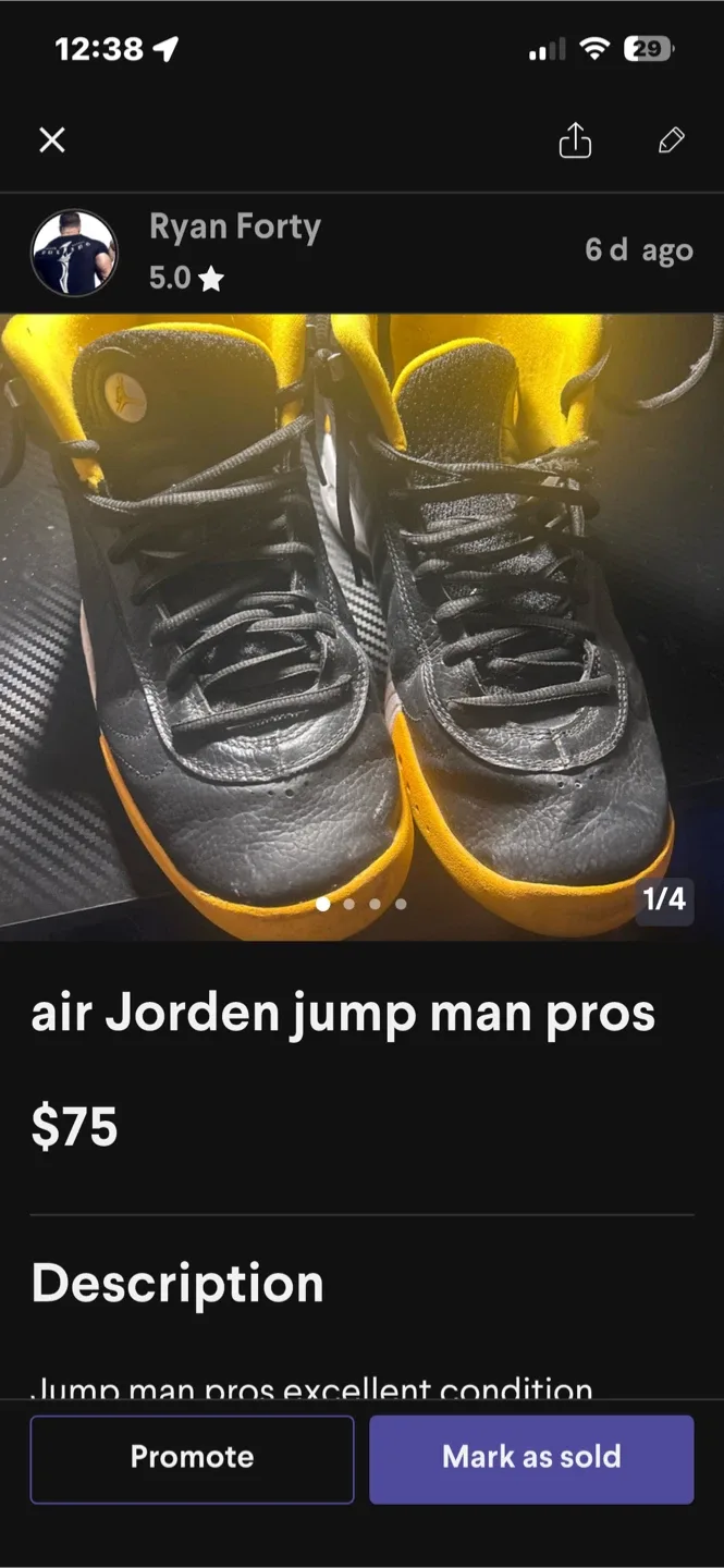 Air Jordan Jumpman Pro Shoes - US 8.5 image indicator(2)