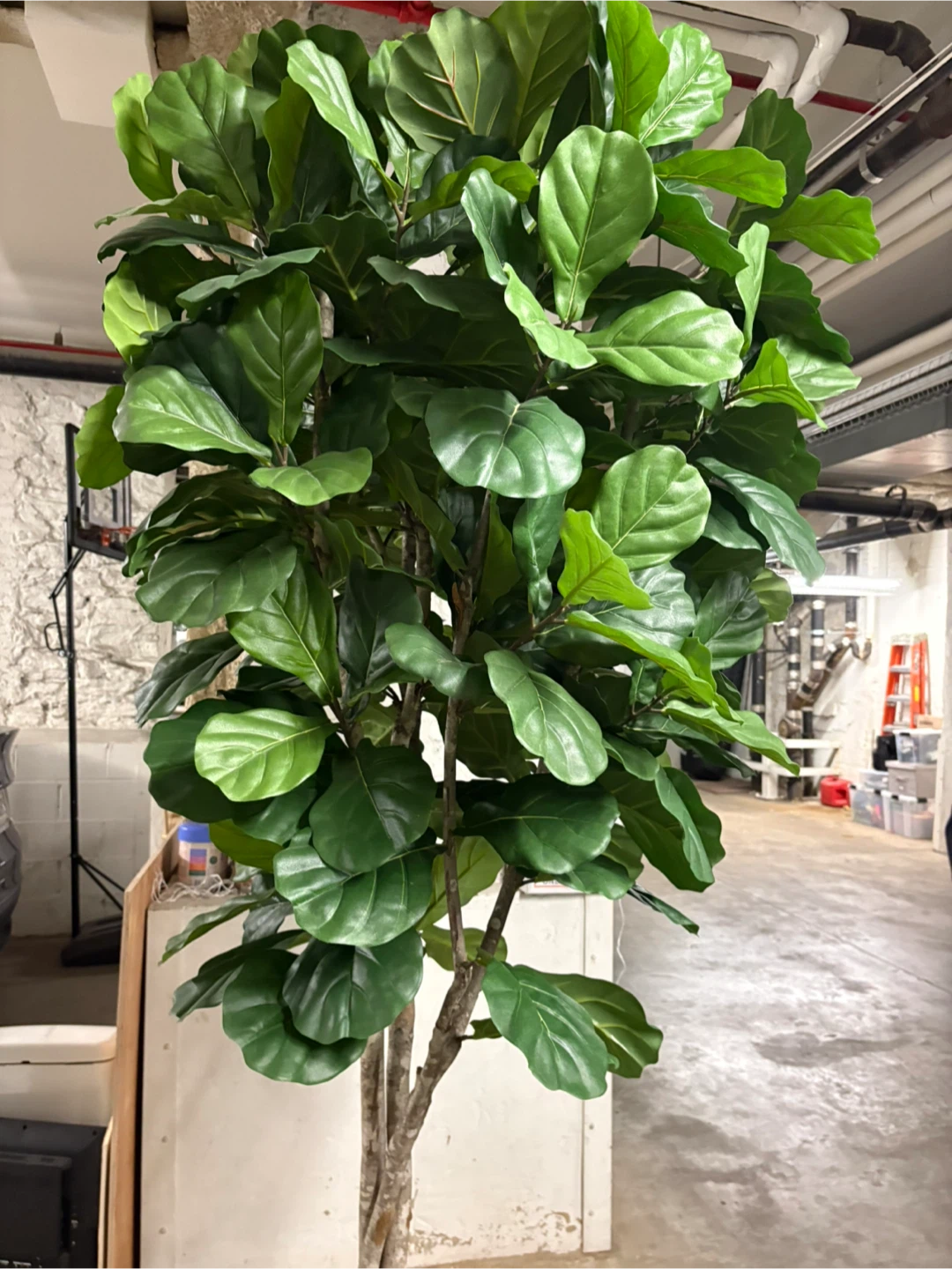 Faux Fiddle Leaf Fig Tree in Black Pot - photo 4