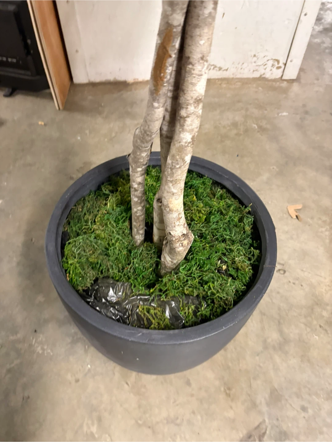 Faux Fiddle Leaf Fig Tree in Black Pot - photo 2