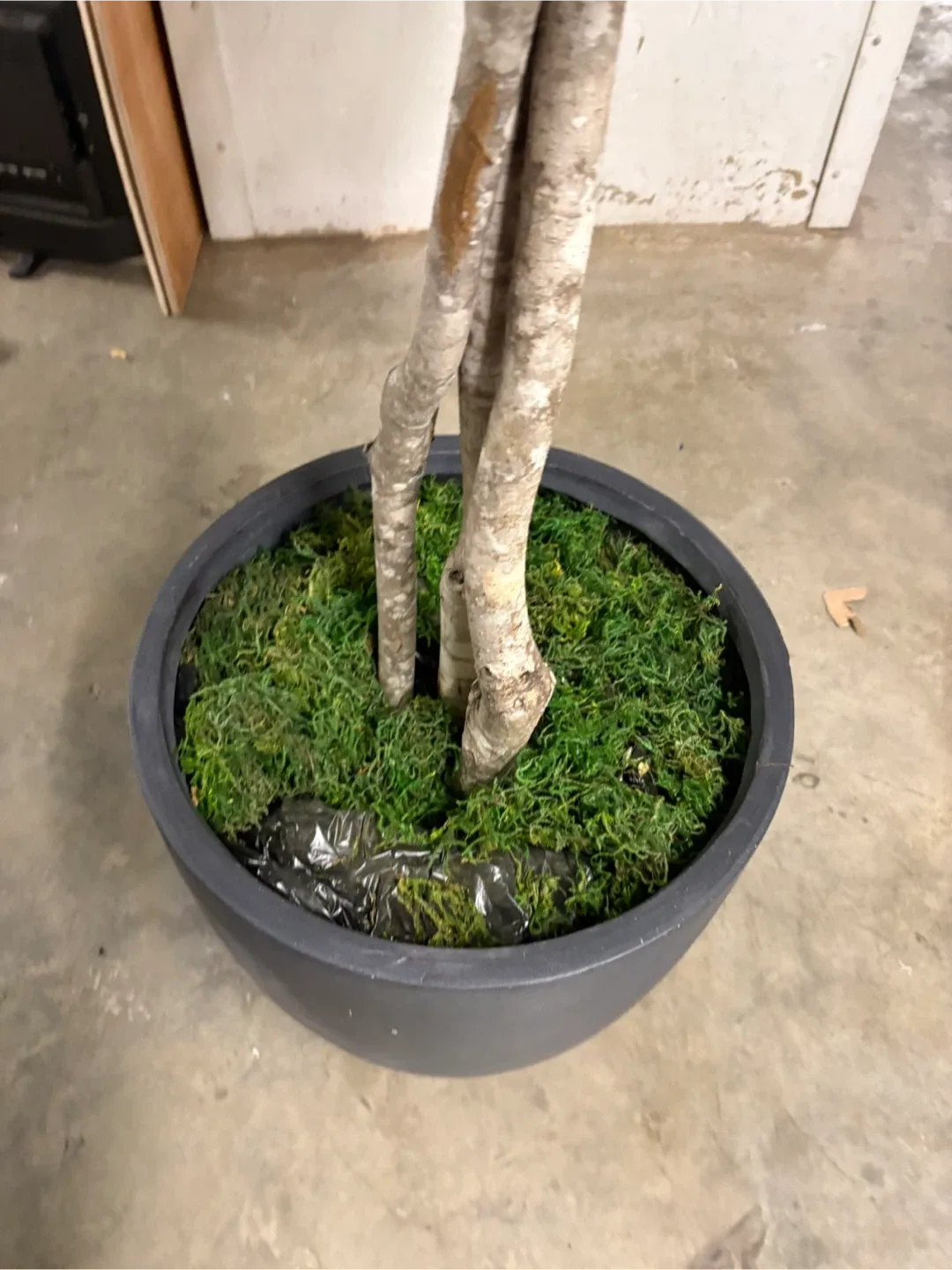 Faux Fiddle Leaf Fig Tree in Black Pot image indicator(2)