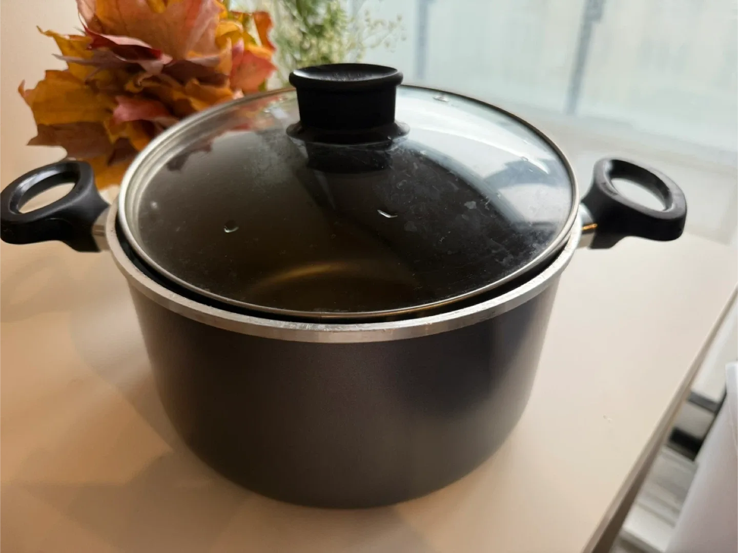 Stock Pot with Lid thumbnail