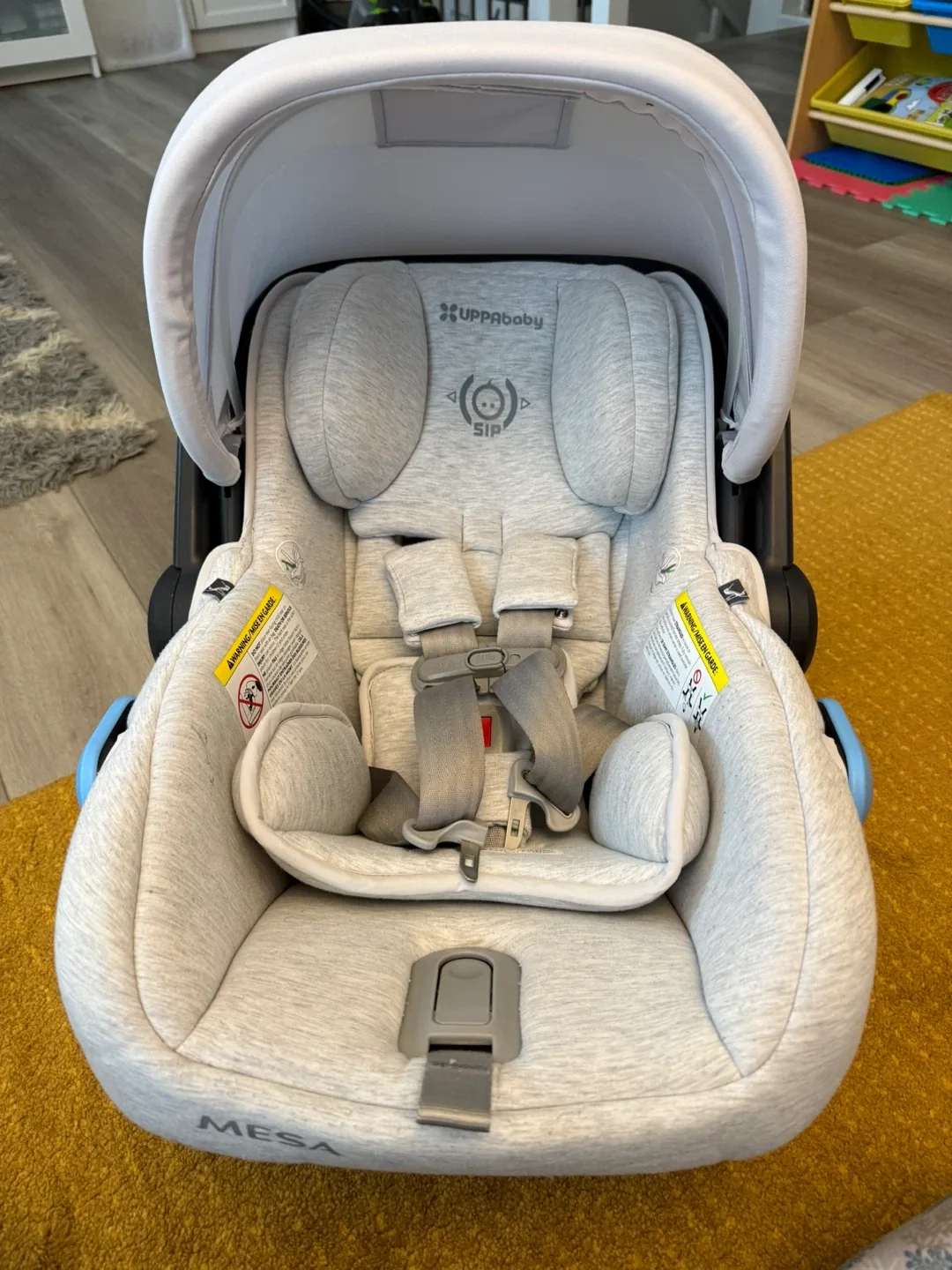 UPPAbaby MESA Infant Car Seat