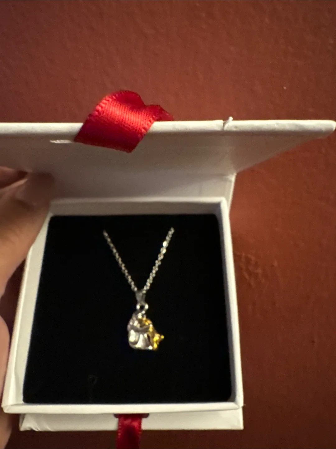 NEW Fab Love Hugging Pet Necklace image indicator(4)