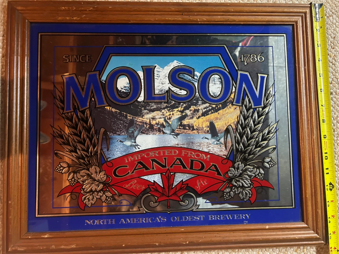 Molson Canadian Beer Mirror