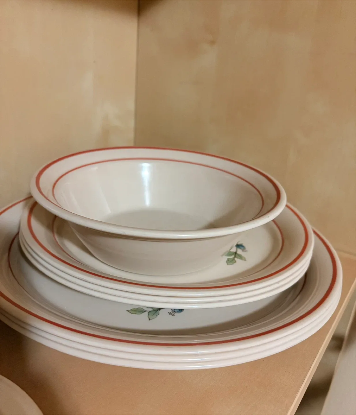 Corning Royal Garden Dinnerware Set 🥕 image indicator(2)