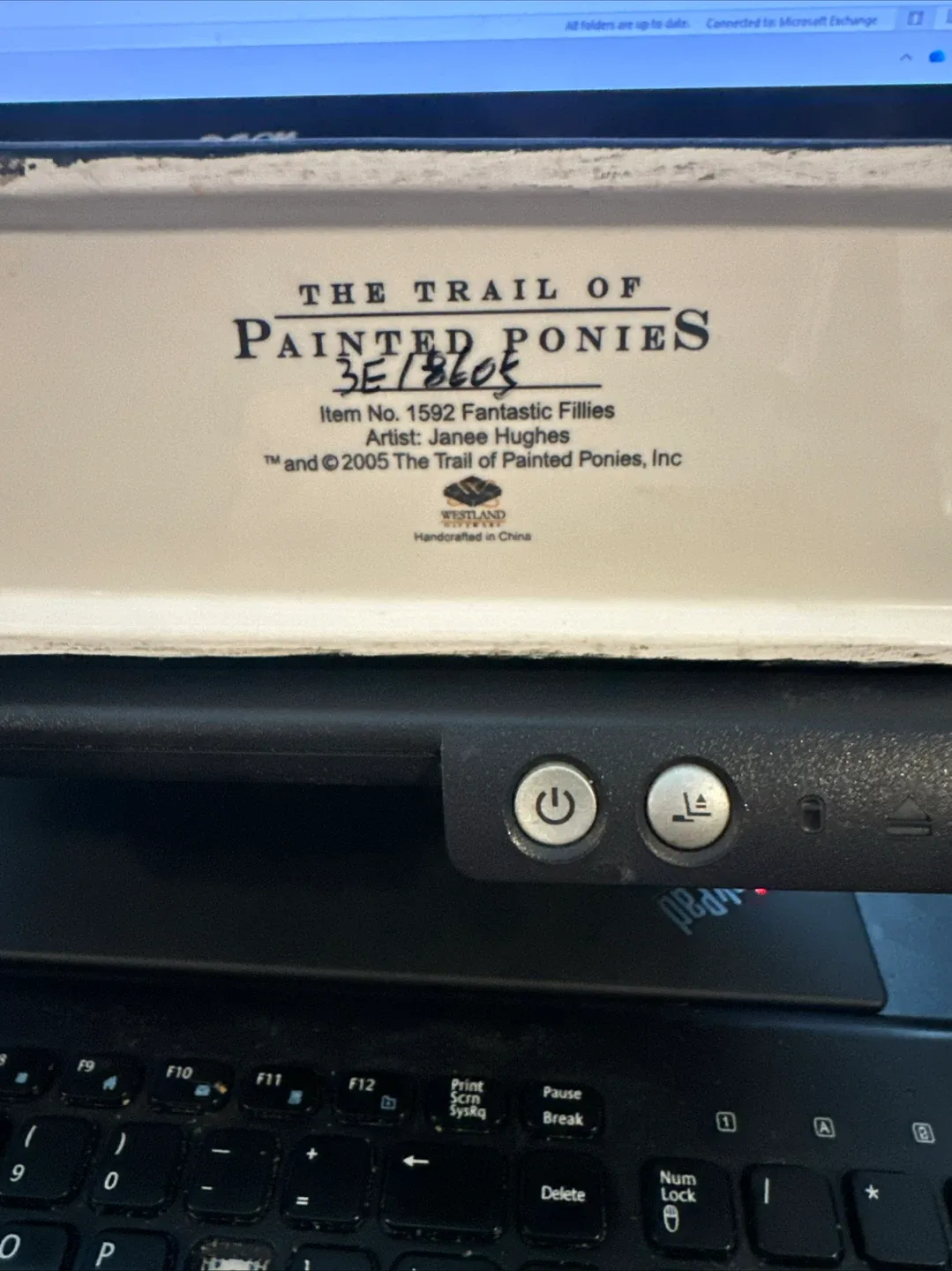 The Trail of Painted Ponies - Fantastic Fillies image indicator(2)