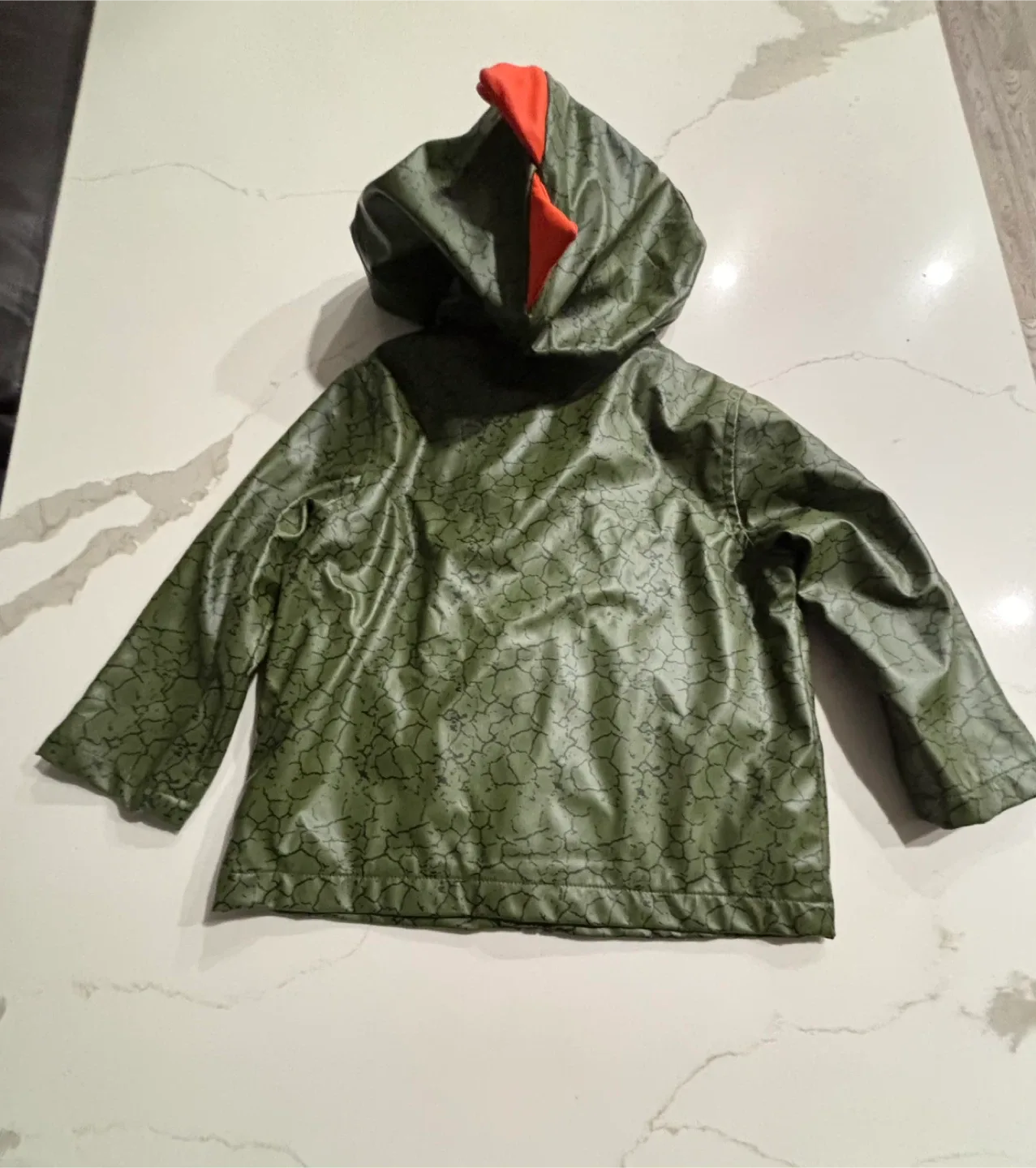 George 2T Dinosaur Raincoat image indicator(5)