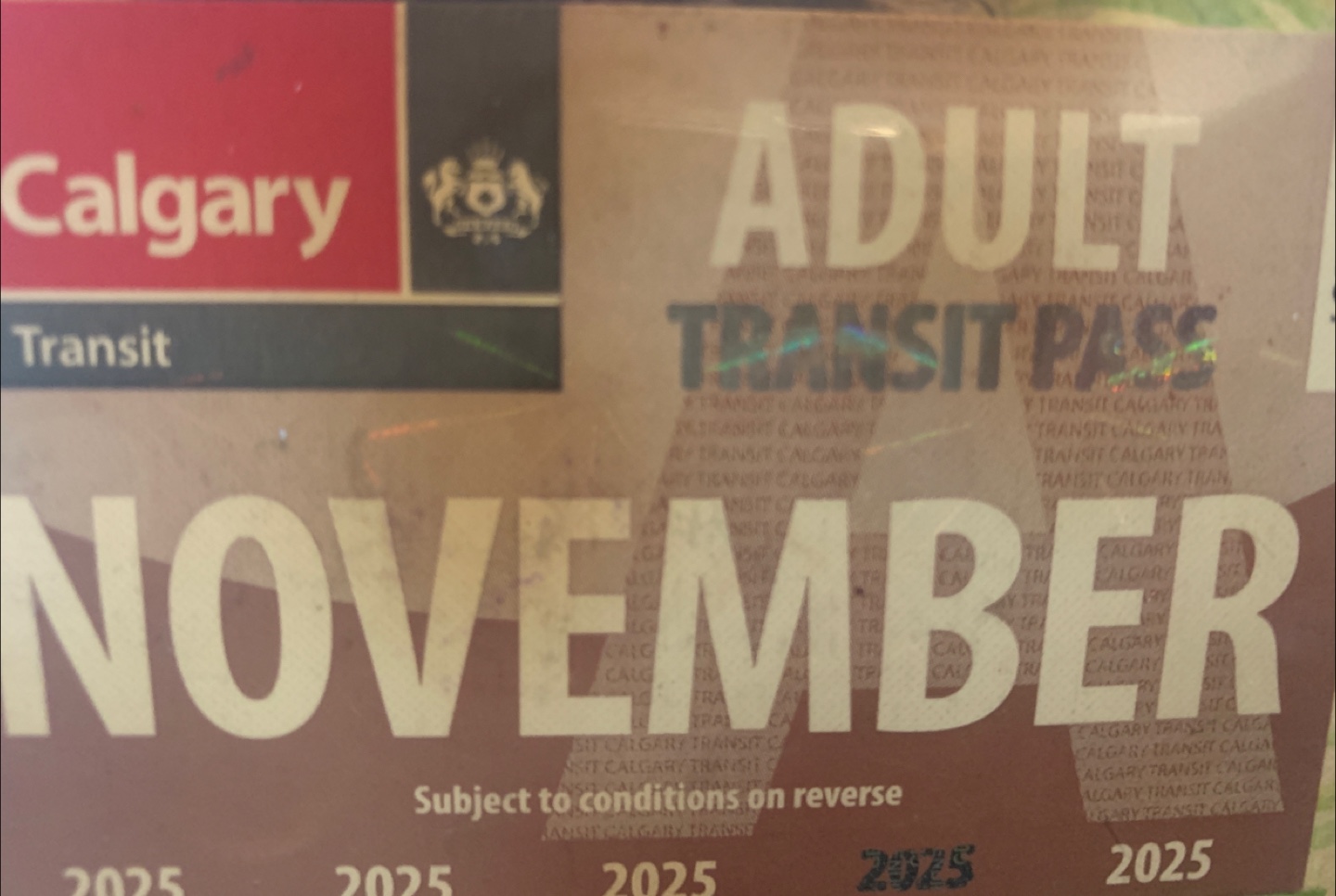Calgary Transit Adult November Pass - New!
