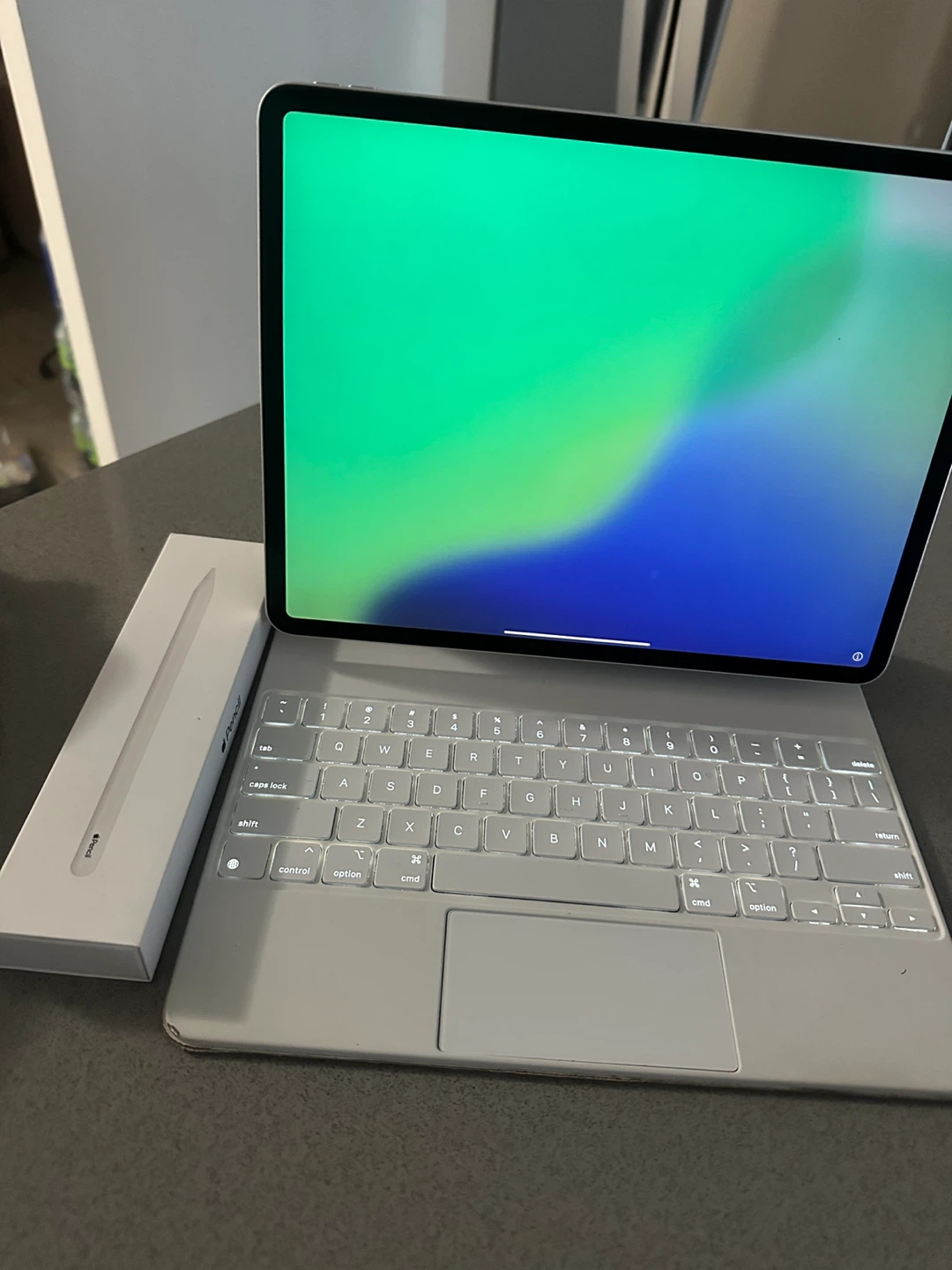 iPad Pro 12.9-inch (4th Gen) 128GB + Pen and Magic Keyboard - photo 4