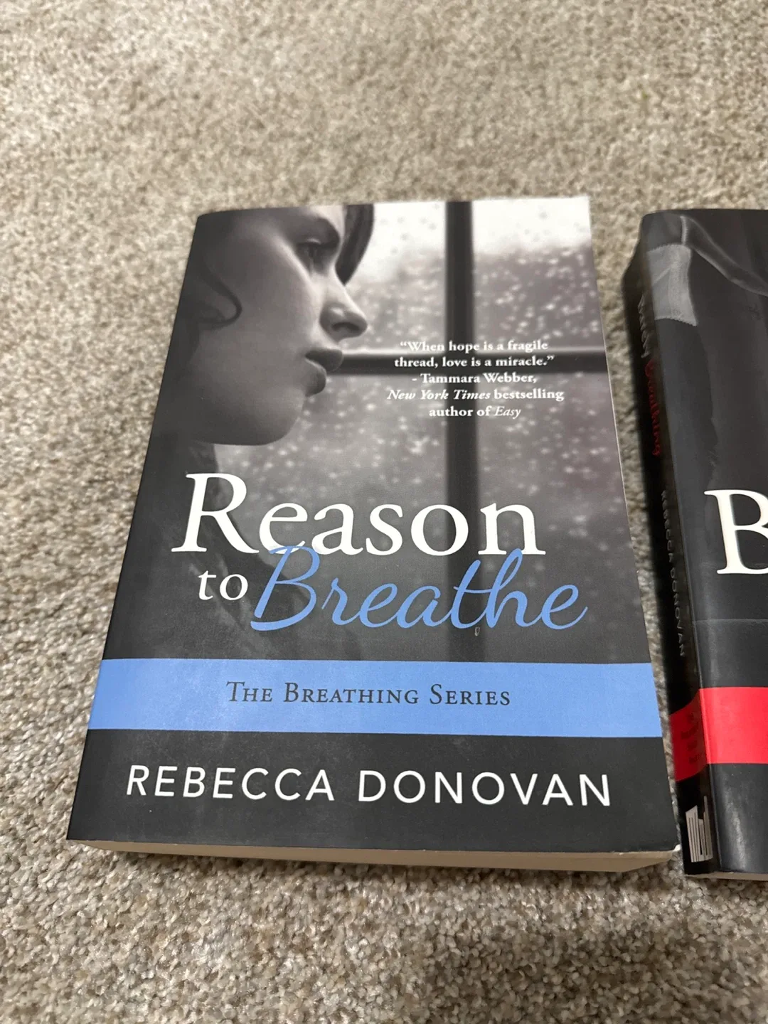 The Breathing Series by Rebecca Donovan image indicator(2)