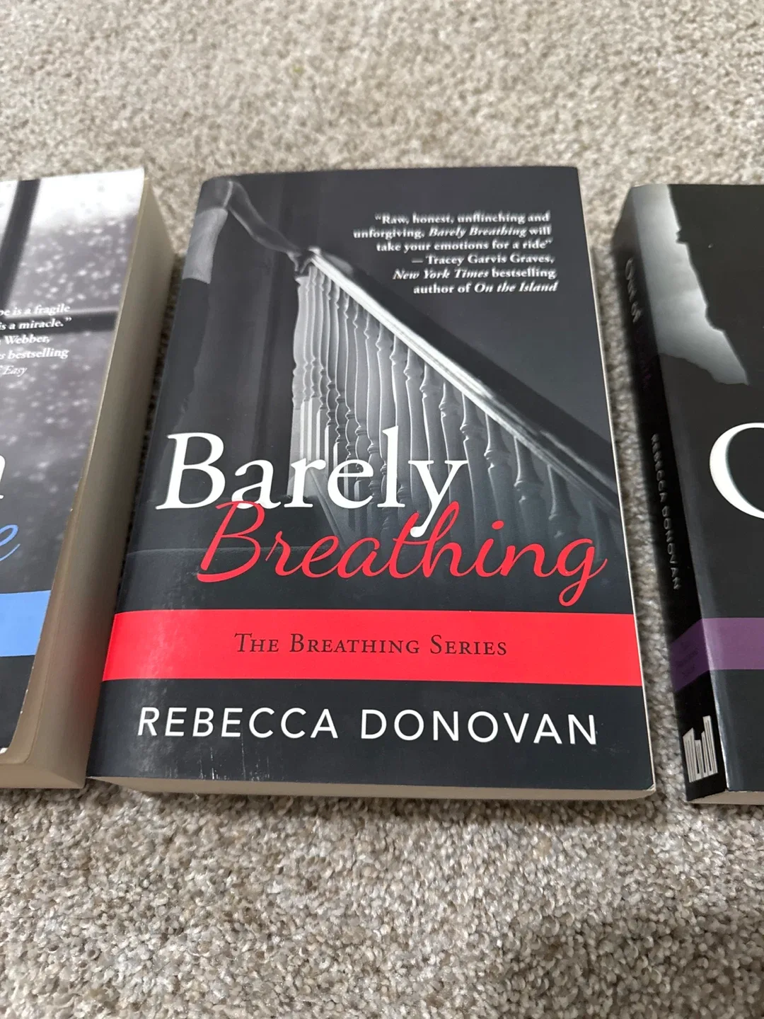 The Breathing Series by Rebecca Donovan image indicator(3)