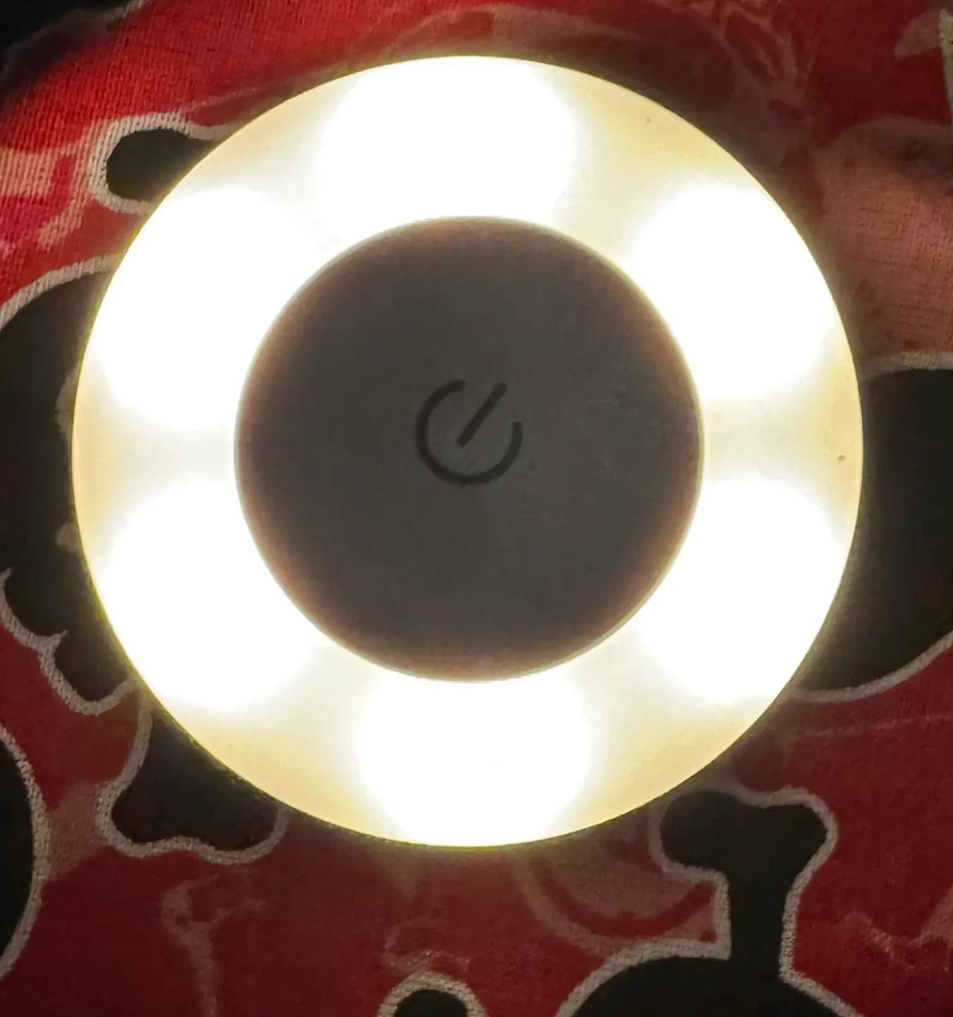 Night Light 🥕 thumbnail