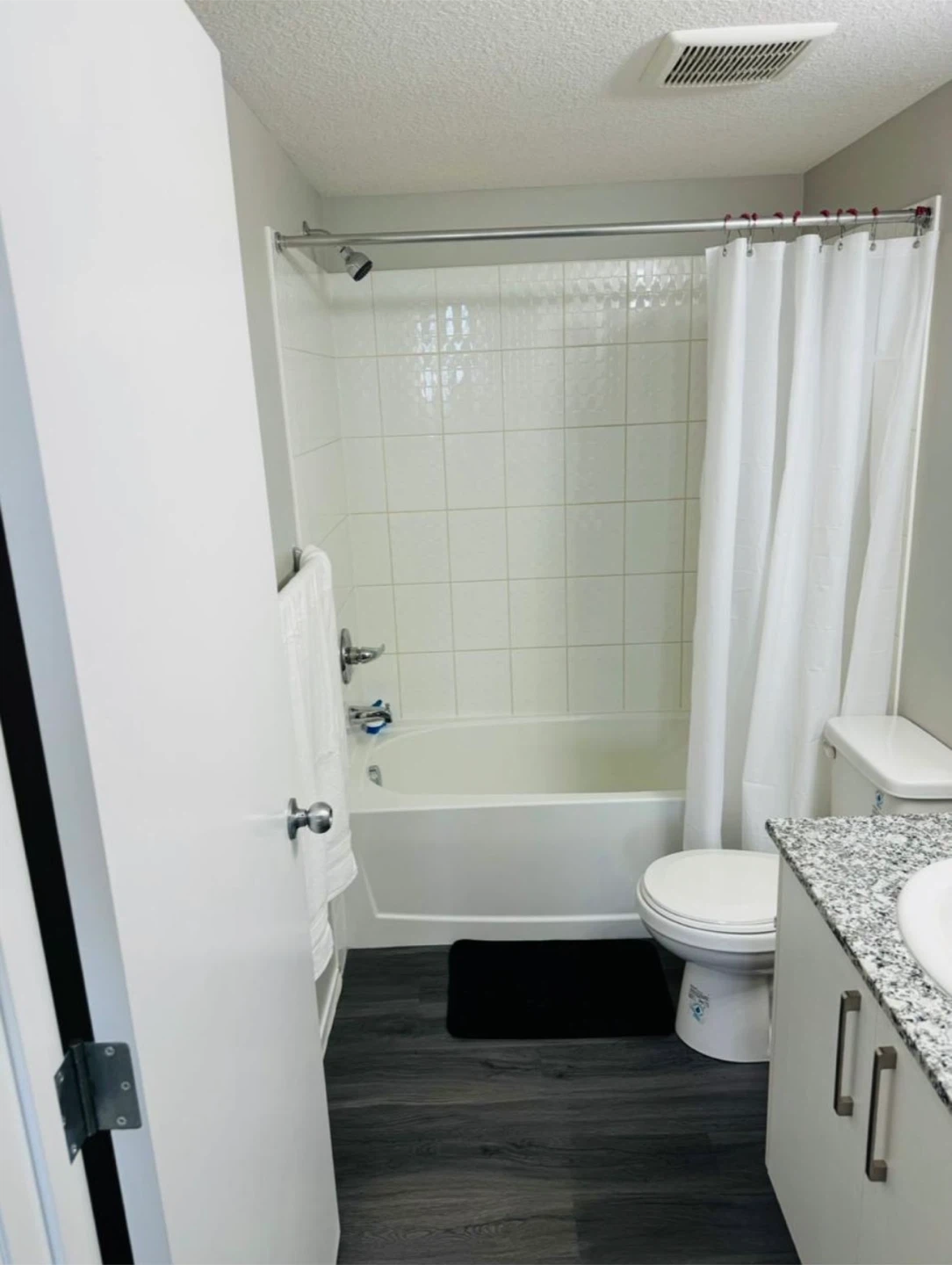 Primary bedroom with private bathroom for rent - photo 3