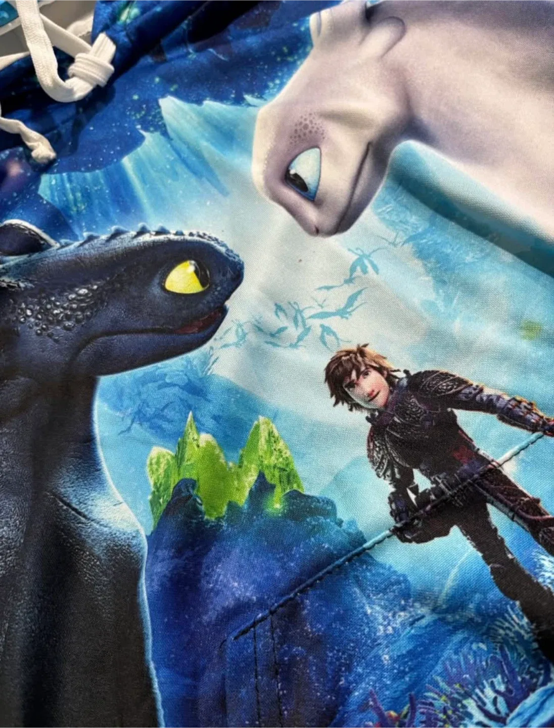 “How to Train Your Dragon” Hoodie - Fits 5-7 year old. Size 120 image indicator(2)