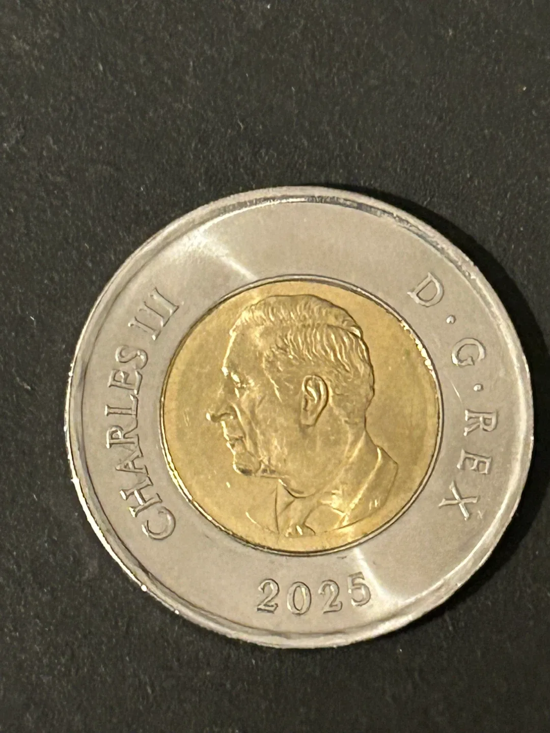 $3.50 2025 Canada toonie DAPHNE ODJIG $2 uncoloured toonie coin image indicator(2)