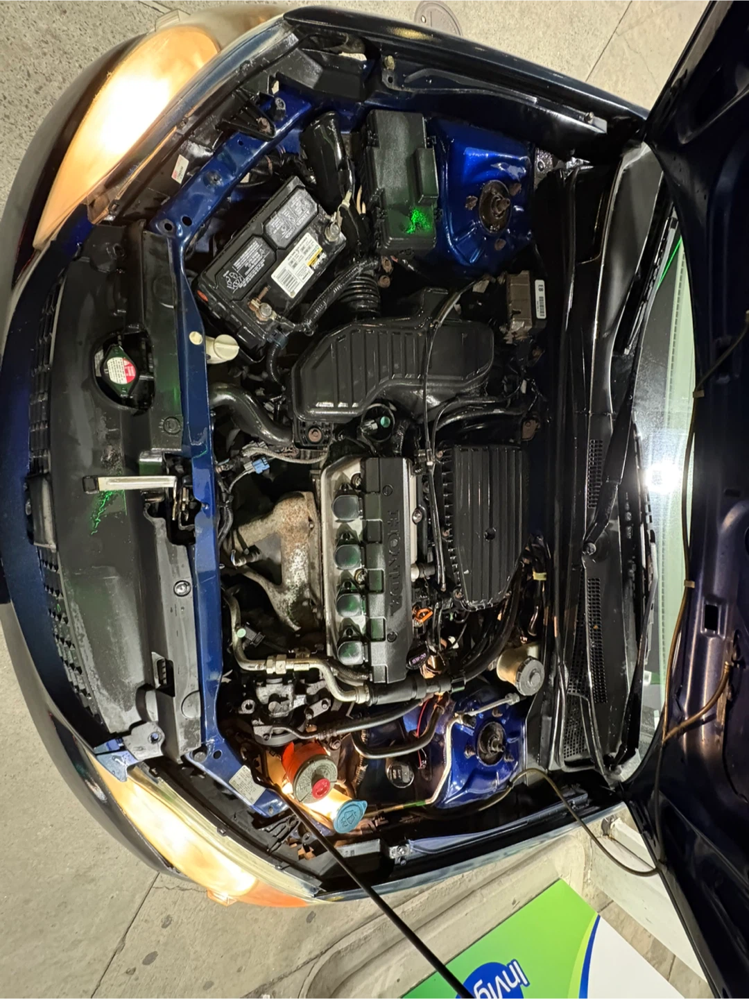 Honda Civic Coupe - Blue - photo 5