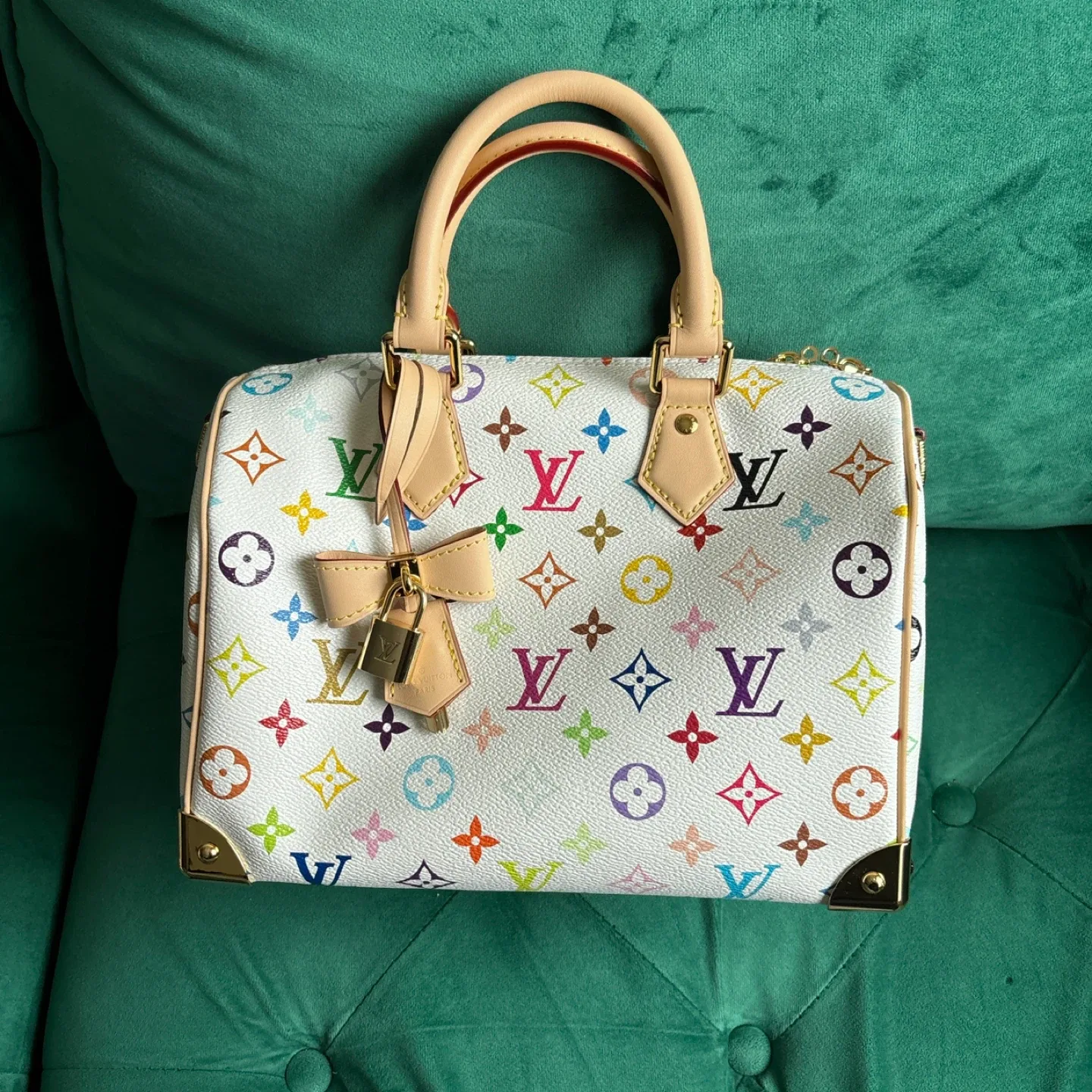 Louis Vuitton x TM speedy 25