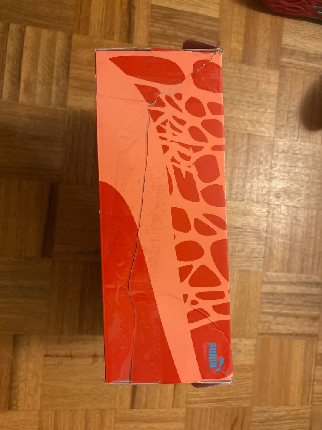 Size 9 phoenix LaMelo Ball basketball shoes. image indicator(4)