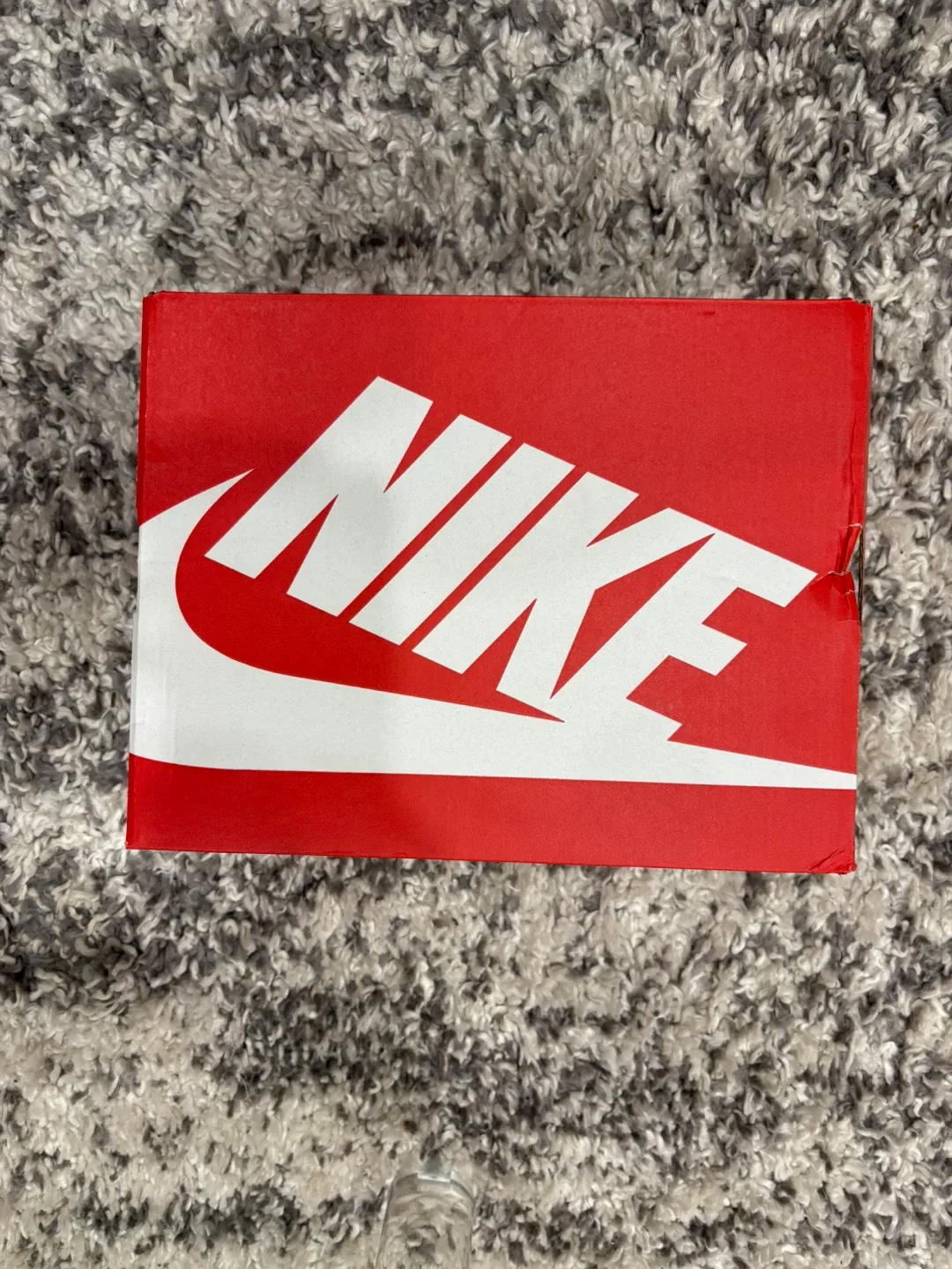 Nike Dunks (NEW) image indicator(6)
