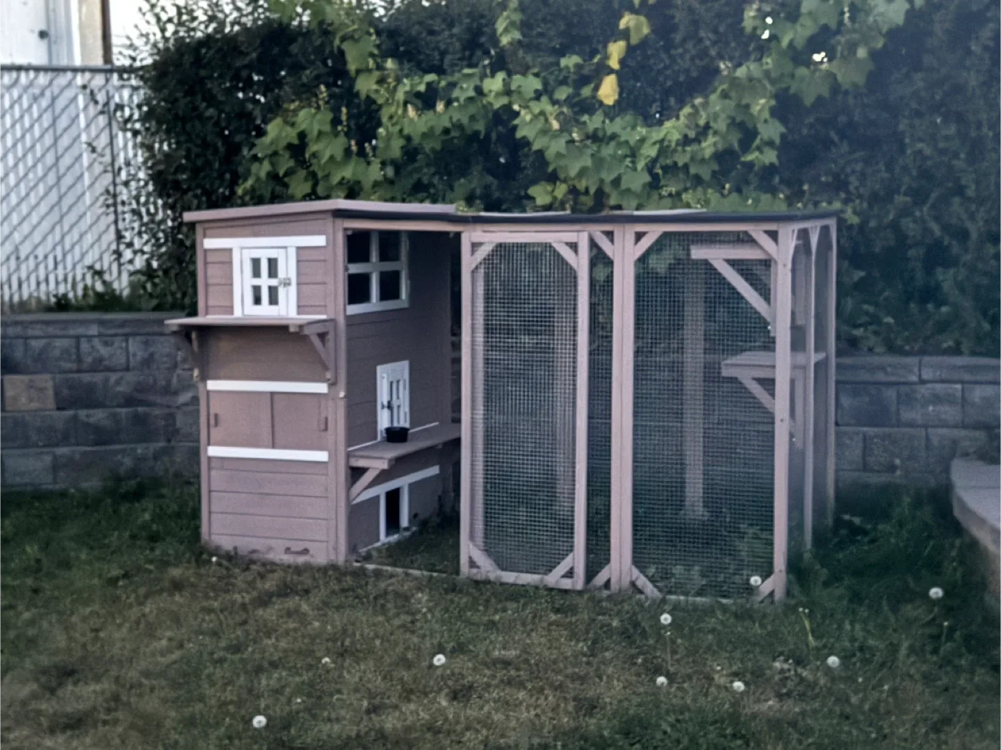 Catio image indicator(2)