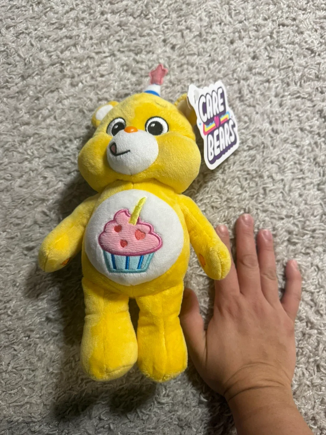NEW Care Bears Birthday Bear Plush Toy