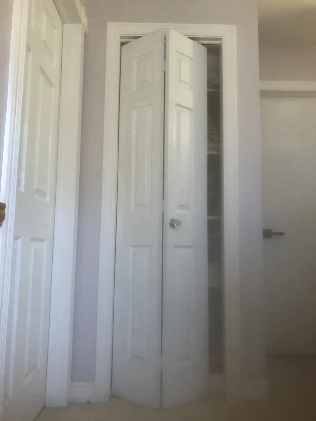 Bifold Closet Door 24x80