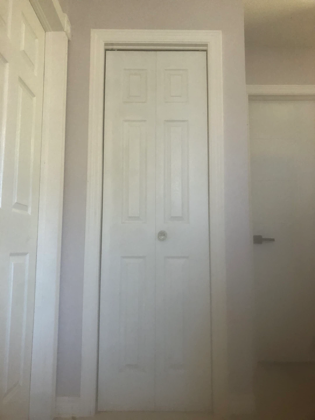 Bifold Closet Door 24x80 - photo 2