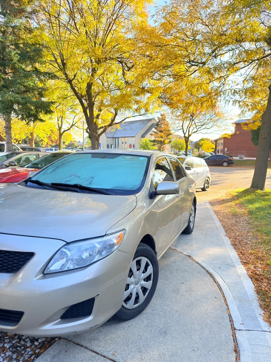 Toyota Corolla - Gold image indicator(6)
