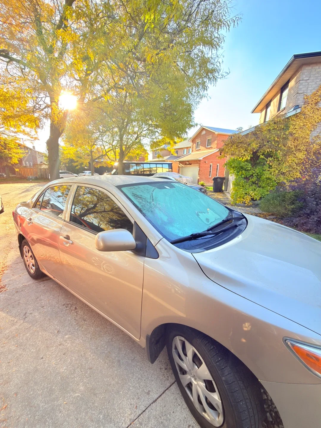 Toyota Corolla - Gold image indicator(2)