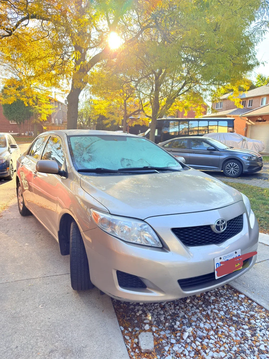 Toyota Corolla - Gold image indicator(7)