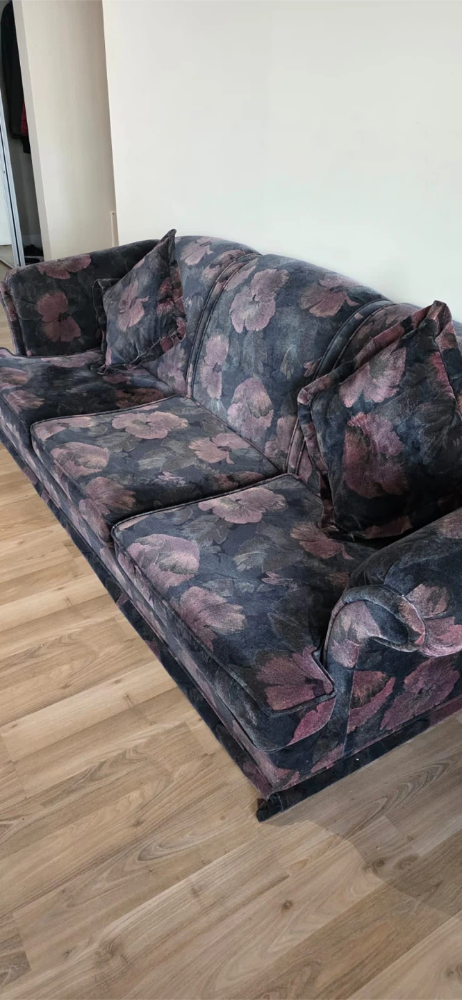 Free family couch