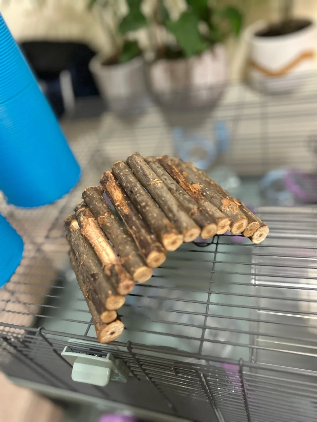 Hamster Cage with Accessories image indicator(3)