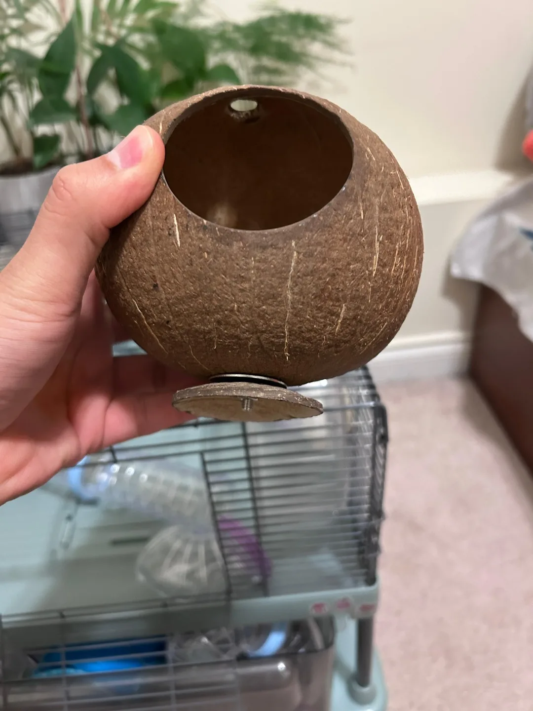 Hamster Cage with Accessories image indicator(4)