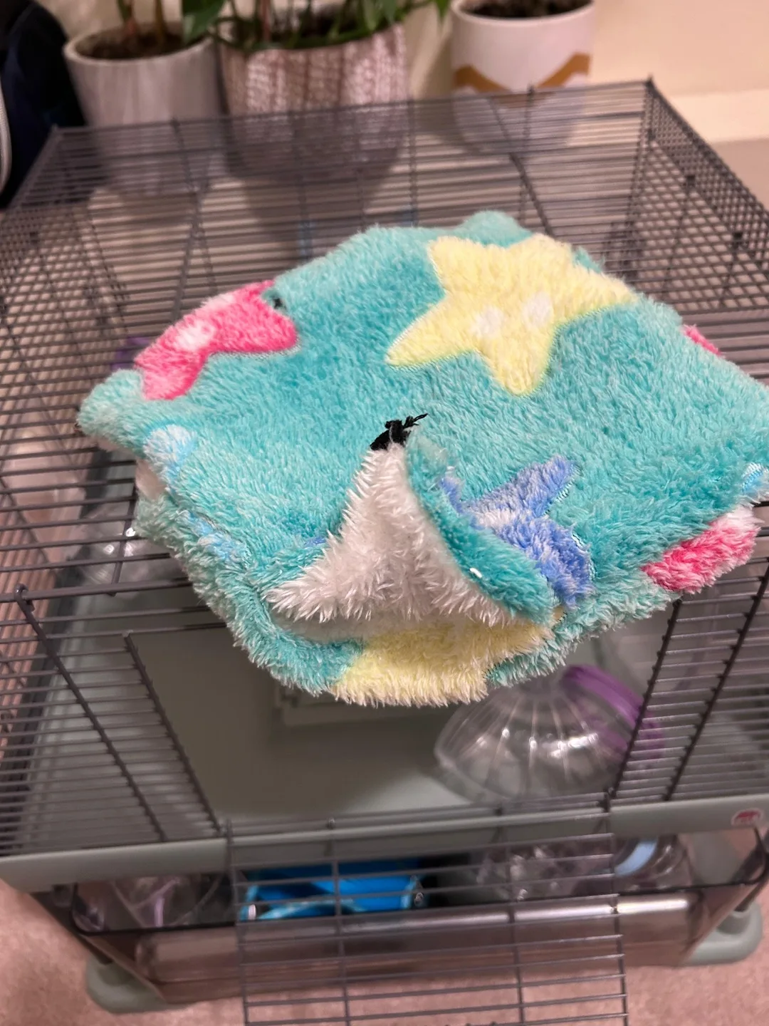 Hamster Cage with Accessories image indicator(5)