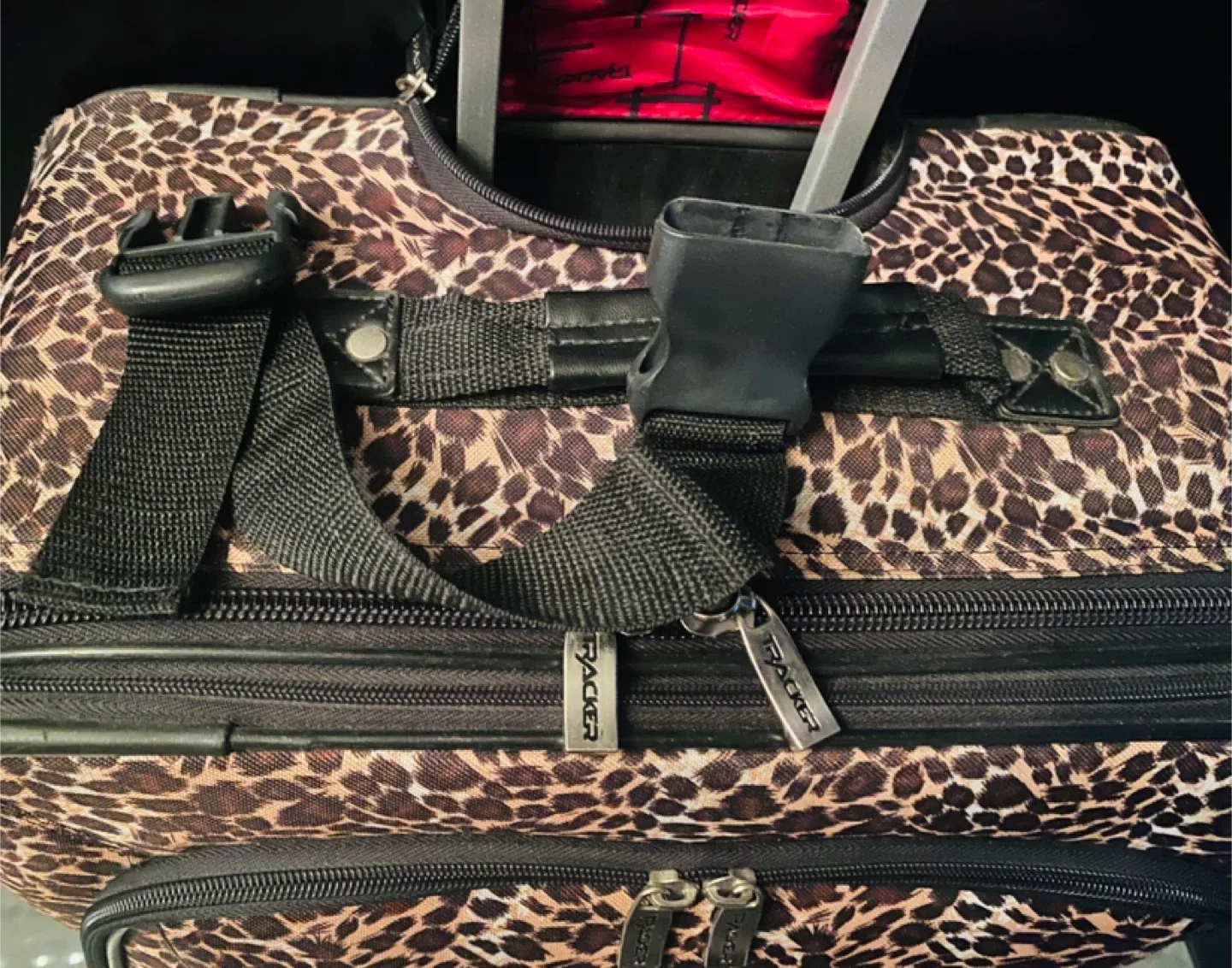 Leopard Print Roller Suitcase 🥕 image indicator(4)