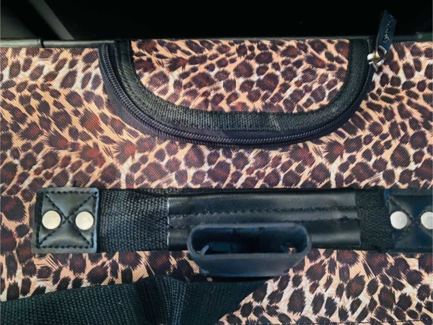 Leopard Print Roller Suitcase 🥕 image indicator(9)