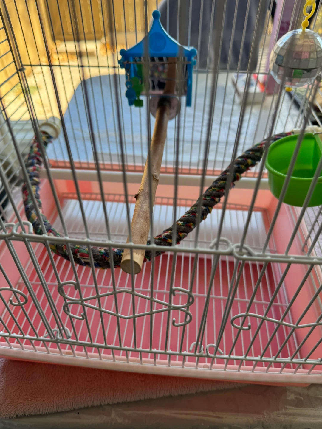 Bird Cage with Accessories - photo 5