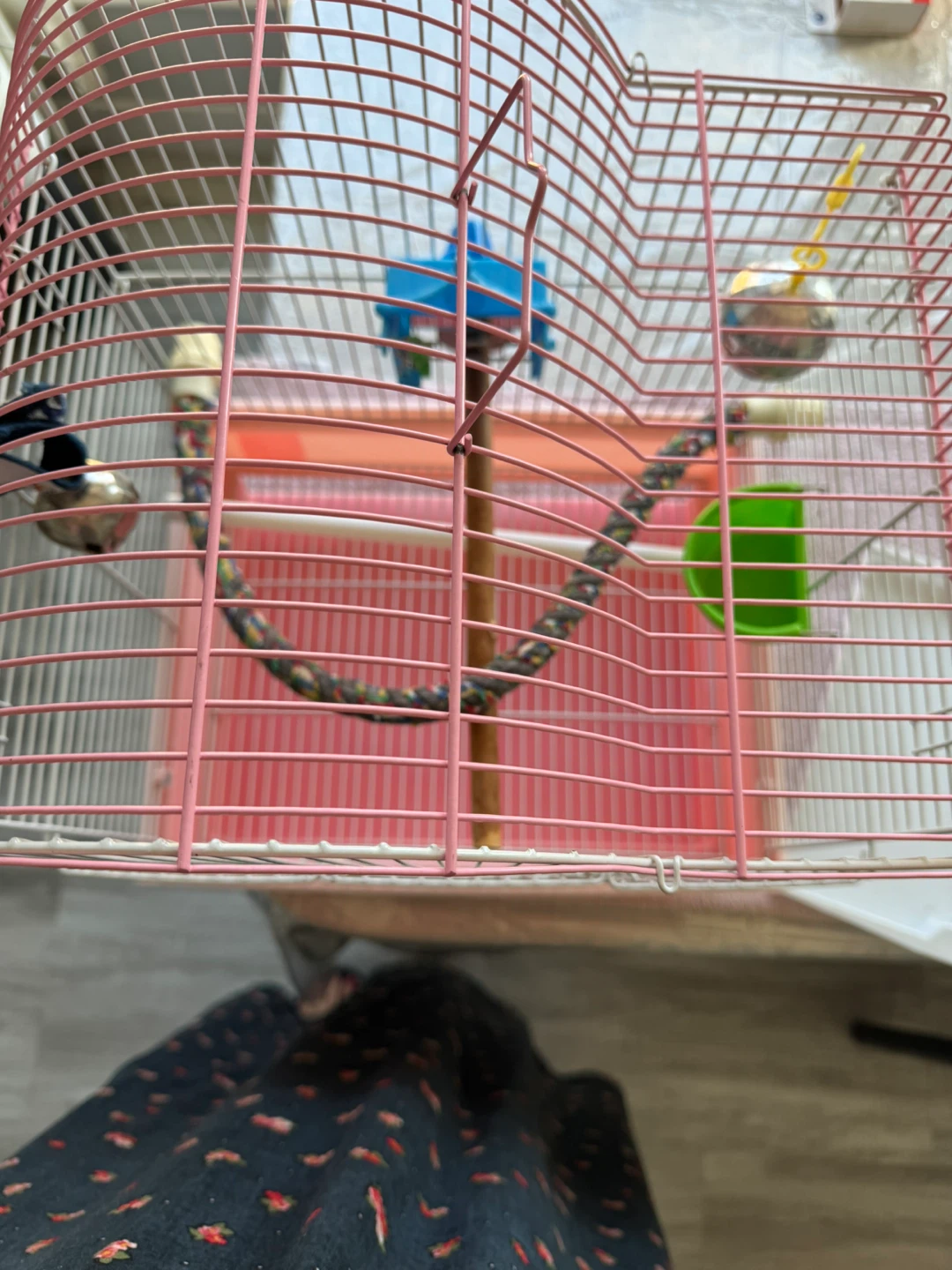 Bird Cage with Accessories - photo 2