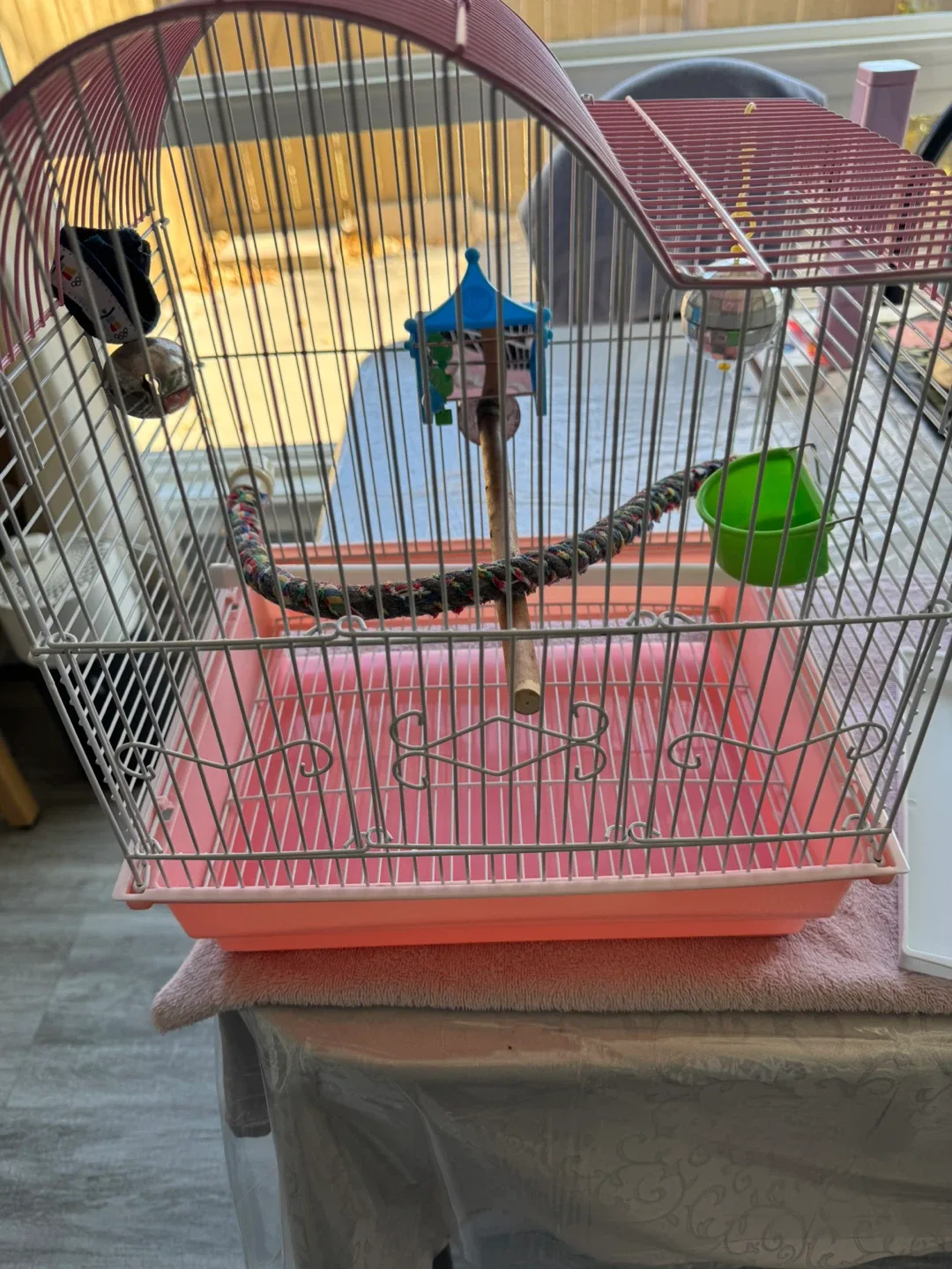 Bird Cage with Accessories