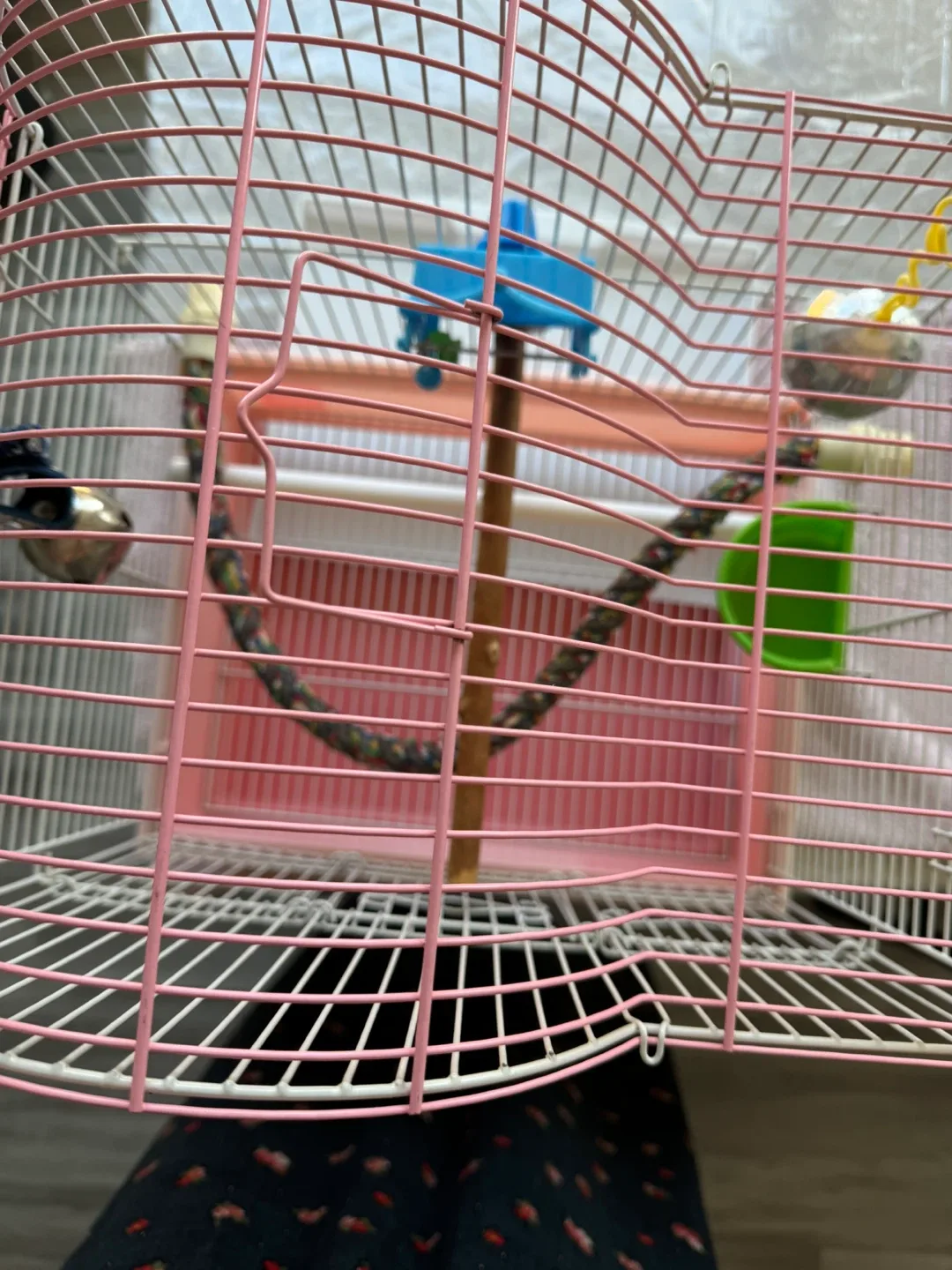 Bird Cage with Accessories image indicator(6)