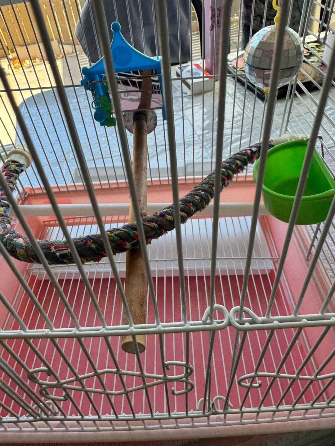 Bird Cage with Accessories image indicator(3)