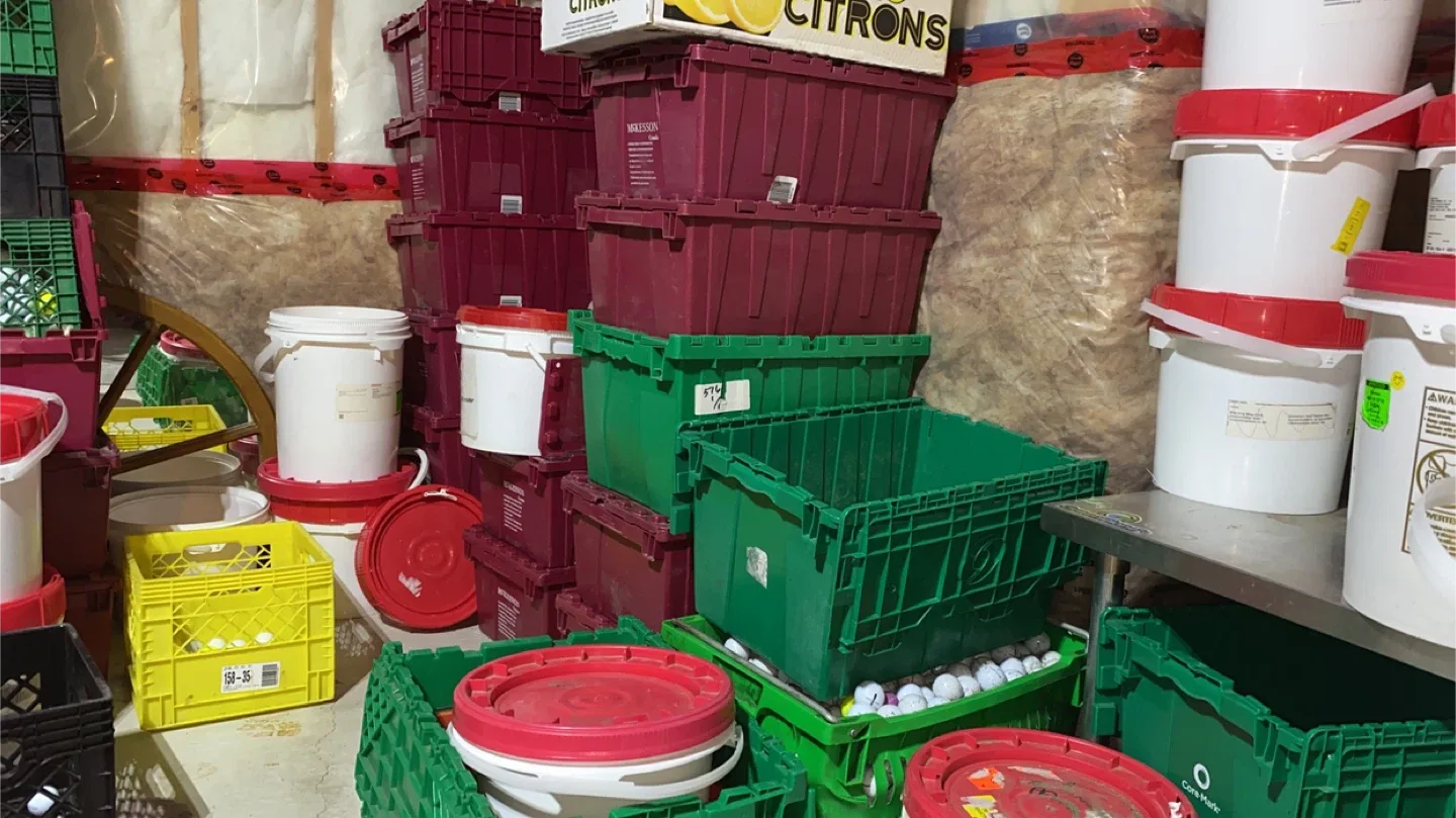 CHECKED YOUR BALLS? image indicator(8)