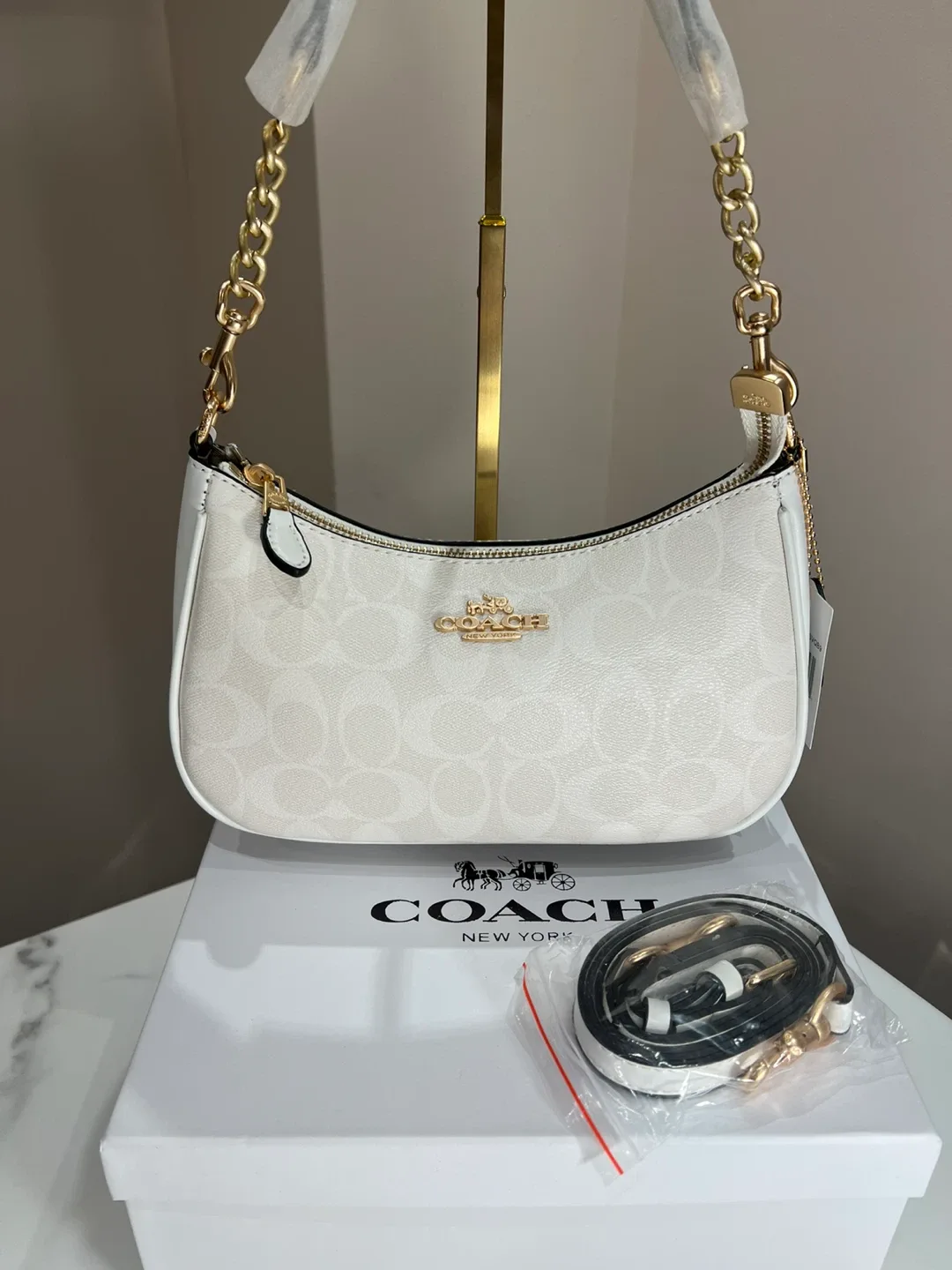 Coach Terri purse