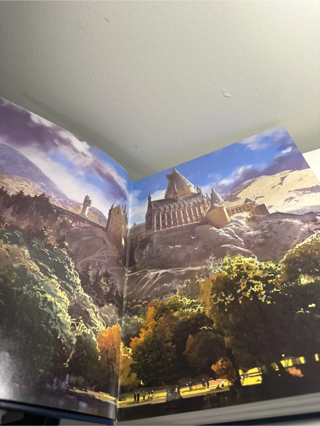 Harry Potter Page to Screen: Filmmaking Journey image indicator(3)