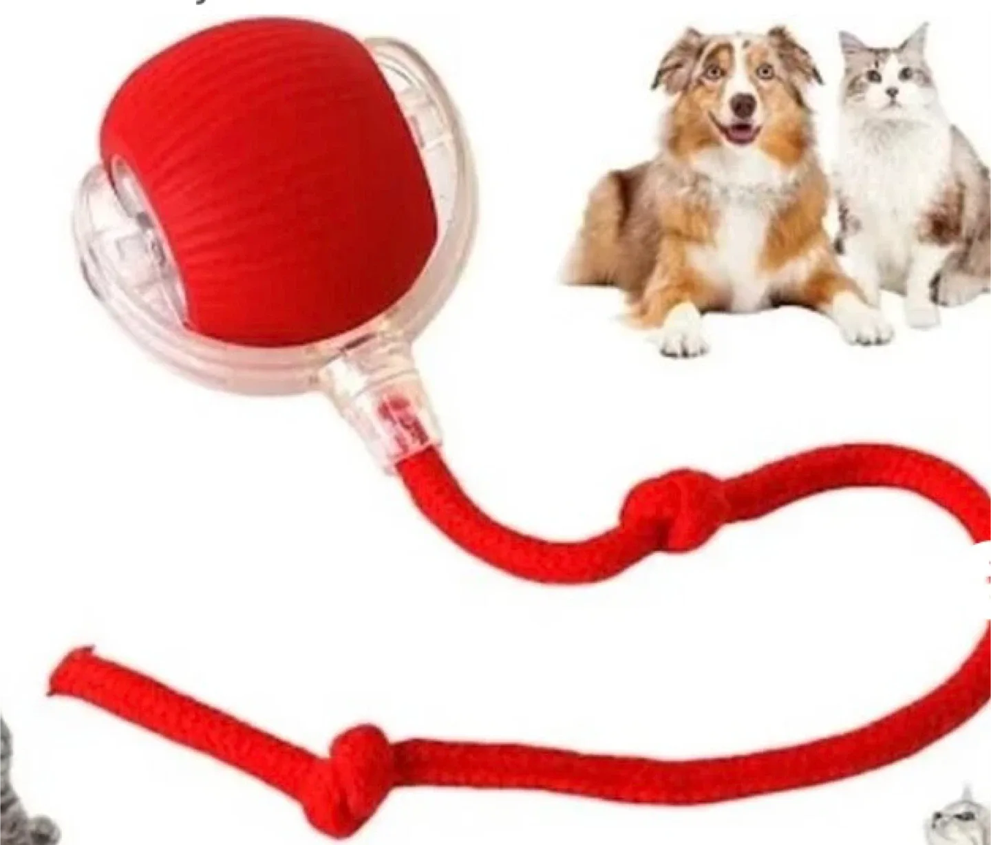 🥕Chewie Ball - Interactive Pet Toy