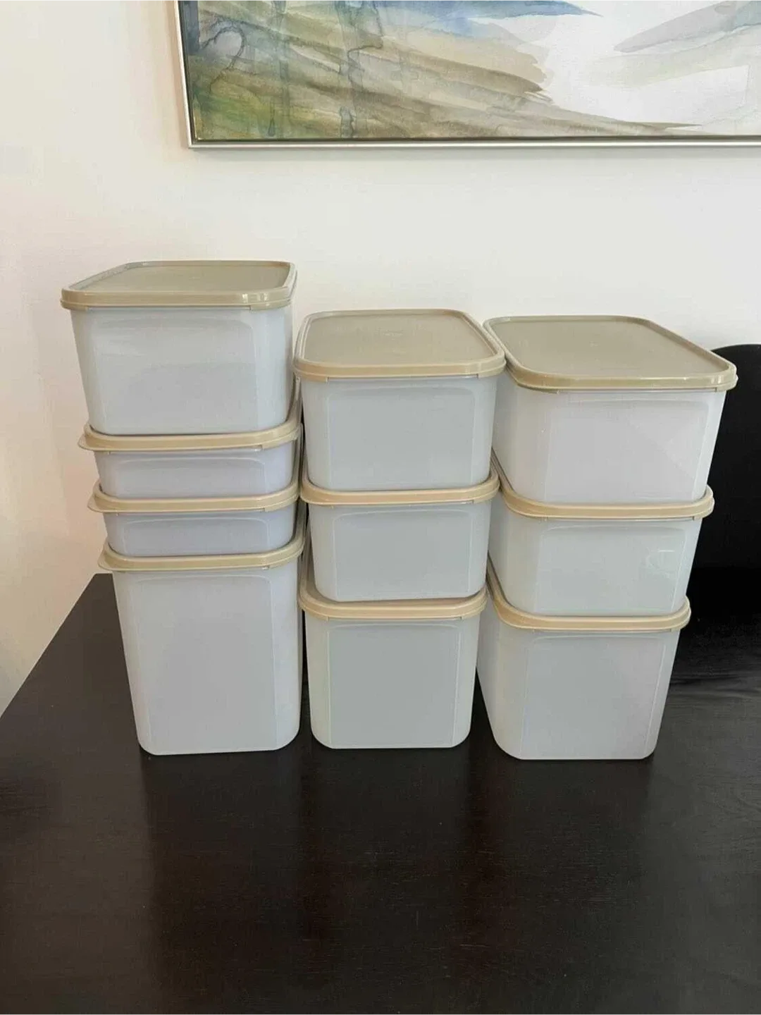 Set of (10) Tupperware Modular Mates rectangular containers image indicator(3)