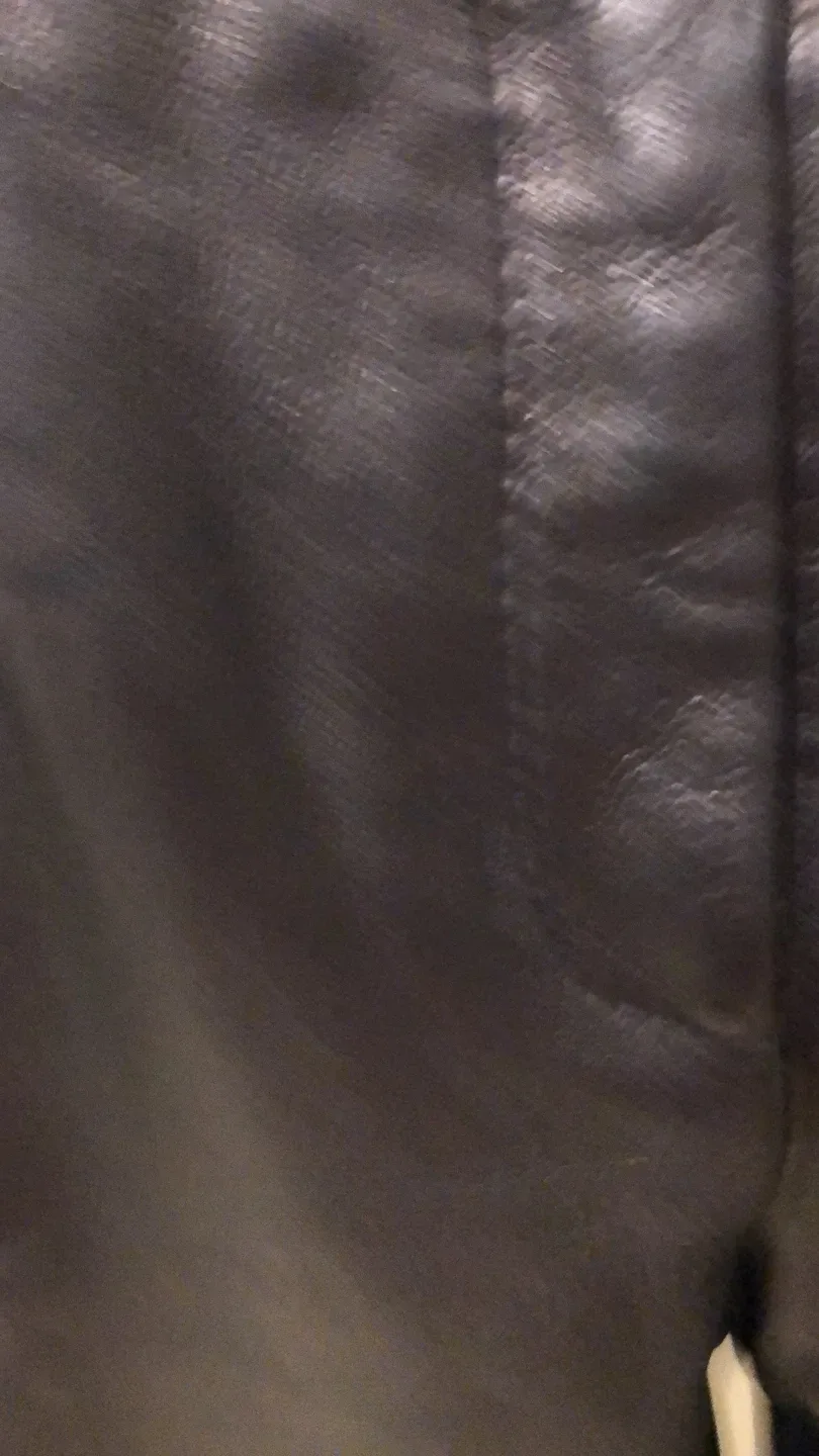 Danier Black Leather Pants - Size 12 image indicator(4)