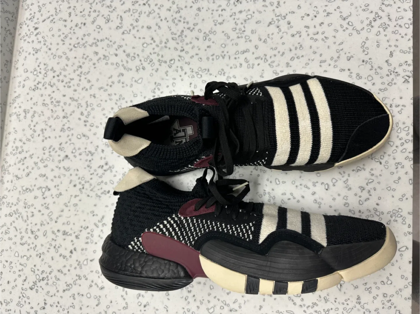 Trae young 2 Texas A&M size 12 1/2 image indicator(4)